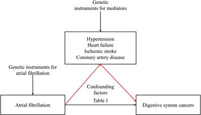 Connecting atrial fibrillation to digestive neoplasms: exploring mediation via ischemic stroke and heart failure in Mendelian randomization studies